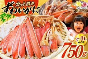 カット済 生 ずわいがに むき身 セット 総重量 750g (正味重量600g) 2-3Lサイズ [カネダイ 宮城県 気仙沼市 20565652] かに カニ ズワイガニ ずわい ズワイ 蟹 棒肉 ポーション かに鍋 かにしゃぶ 生ずわい