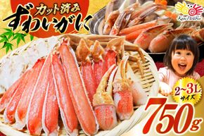 かに カット済 生 ずわいがに むき身 セット 総重量 750g (正味重量600g) 2-3Lサイズ [カネダイ 宮城県 気仙沼市 20565652] かに カニ ズワイガニ ずわい ズワイ 蟹 棒肉 ポーション かに鍋 かにしゃぶ 生ずわい