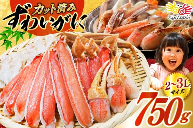 かに カット済 生 ずわいがに むき身 セット 総重量 750g (正味重量600g) 2-3Lサイズ [カネダイ 宮城県 気仙沼市 20565652] かに カニ ズワイガニ ずわい ズワイ 蟹 棒肉 ポーション かに鍋 かにしゃぶ 生ずわい