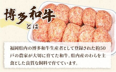 【全6回定期便】A4ランク博多和牛入り特製生ハンバーグ150g×10個×6回 計60個 糸島ミートデリ工房 [ACA255]