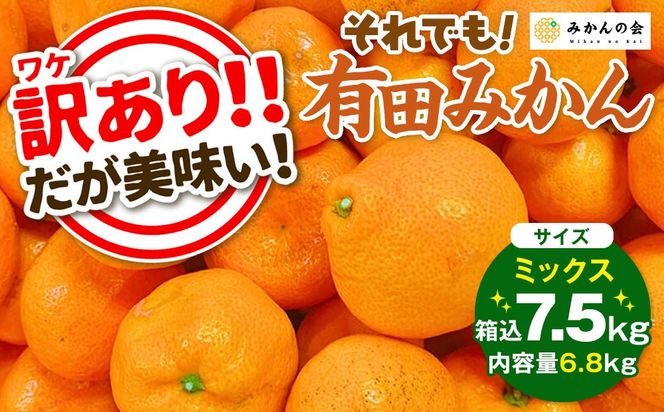 訳あり それでも 有田みかん 箱込 7.5kg (内容量約 6.8kg)  サイズミックス B品 有田みかん 和歌山県産 産地直送 家庭用［2025年11月中旬より順次出荷予定］［みかんの会］ AX212