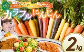 〈予約受付〉メディア出演多数！【期間限定】（お試し） 冬の寒さでぎゅっと濃い！虹色のカラフルにんじん 2kg H022-015
