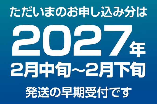 【期間限定】赤ナマコ 約1.5kg （7～10個前後） なまこ 海風丸 秋田県 男鹿市 [なまこ ナマコ 海鼠 珍味 海産]|23_umk-080101