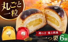 【老舗の菓子屋 鹿の子】和菓子 「一つ栗」 6個《築上町》【有限会社 御菓子司 鹿の子】[ABAC021]