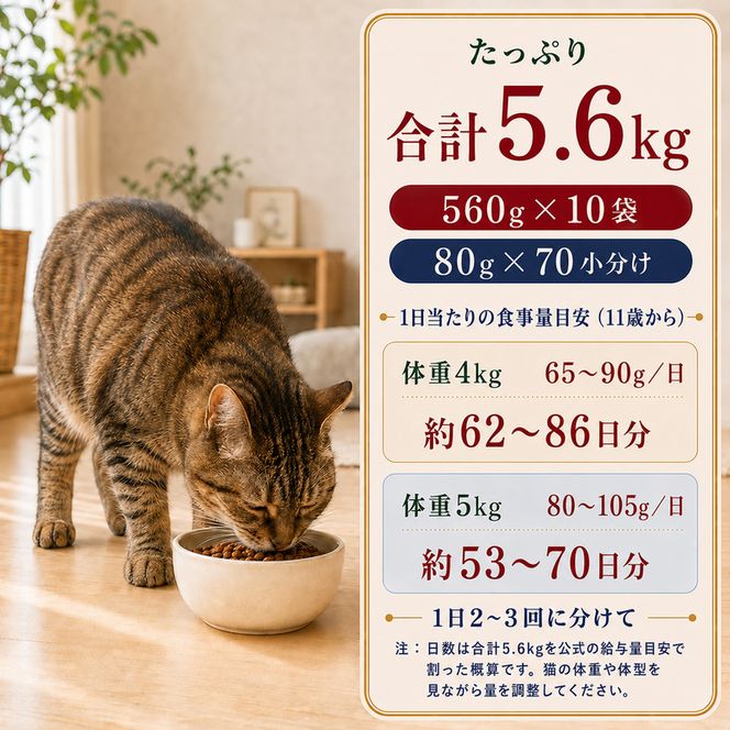 ビューティープロ キャット 下部尿路の健康維持 11歳以上 560g ｘ10(ケース単位) キャットフード