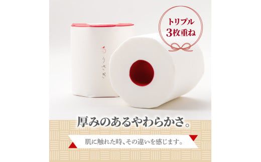 【先行予約】【3回定期便】トイレットペーパー 無香料 ピュアパルプ うさぎ8ロール化粧箱入ギフト×6ケース 3か月毎 全3回 白 赤芯 トリプル ウサギ かわいい 可愛い おしゃれ【望月製紙株式会社】[BQAR025]