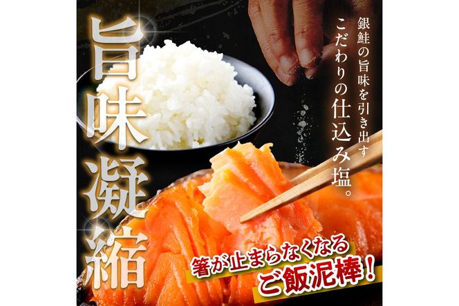 お手軽！絶品！厚切り　塩銀鮭切身 約1kg（プロトン凍結　訳あり　不揃い）　YK00236