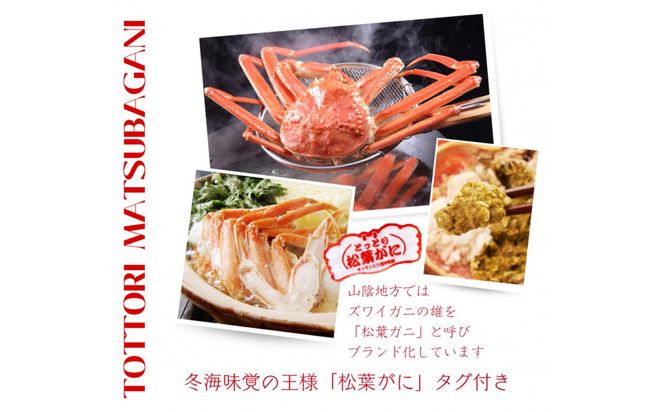 松葉がに タグ付き（茹で）中サイズ 1枚 312011_FT015