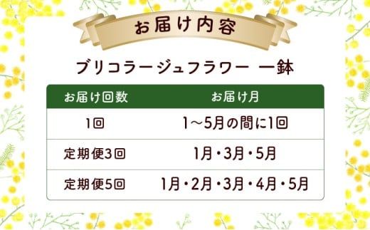 【選べる回数】季節のお花が楽しめる☆お花屋さん 通常便 1回 定期便 3回 5回 ブリコラージュフラワー 寄せ植え 15~20株