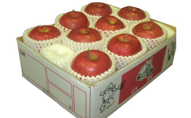 鶴田町　25年3月おすすめ返礼品！雪国の鮮度を閉じ込めた！【クール便】4月発送 白熊 特選 サンふじ 絆 約3kg 糖度13度【青森りんご・ 果物 フルーツ 食後 デザート シャキシャキ ジューシー りんごの王様 】