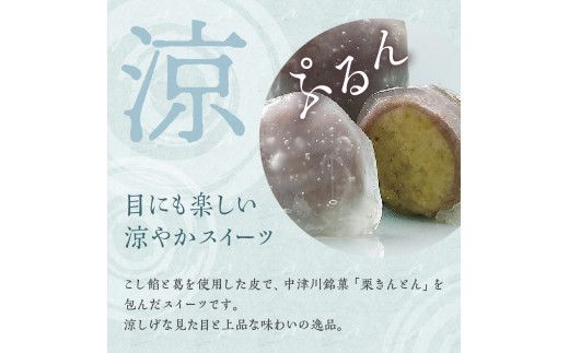 御菓子処信玄堂 「栗きんとん使用」水彩きんとん10個入 F4N-2899