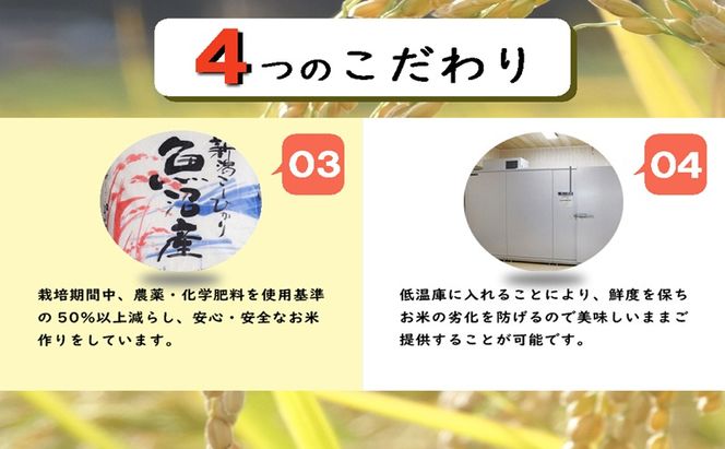 魚沼産コシヒカリ　厳選　低温管理　自社精米　5kg×2袋　新潟　こしひかり