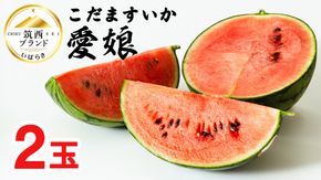 こだますいか 「 愛娘 」 2玉 2026年産 先行予約 筑西ブランド こだまスイカ 小玉スイカ すいか スイカ フルーツ 果物 [AF079ci]