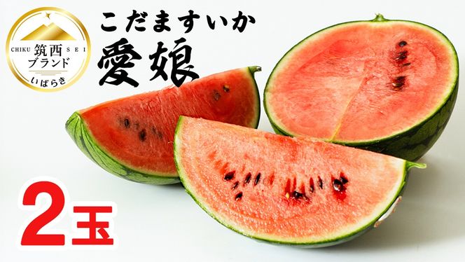 y錧}sz܂ u  v 2 2026NY s\ }uh ܃XCJ ʃXCJ  XCJ t[c ʕ [AF079ci]