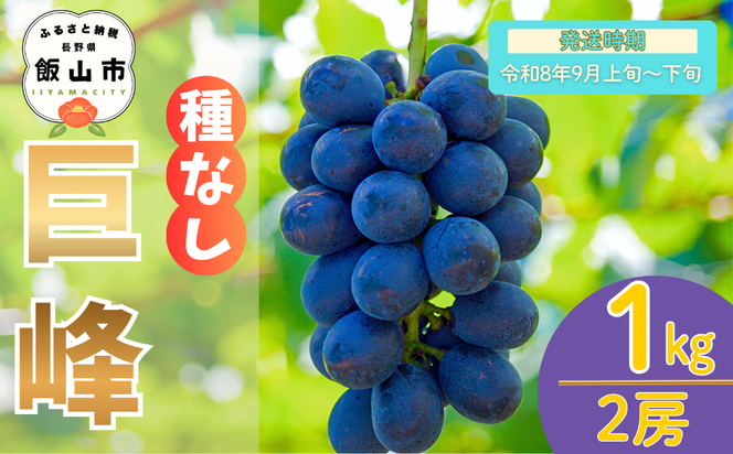 【先行予約丨2026年9月上旬より順次発送】種なし巨峰【約1kg(2房あたり)】(At-005)丨長野県 飯山市 おすすめ ランキング おいしい 高評価 大人気 先取り 産地直送 ぶどう 巨峰
