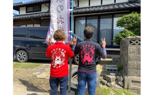 令和7年産 むなかた産 米 ぴかまる 10kg【みきふぁーむ】_HA1544