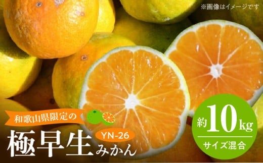 EA6041_【2026年先行予約】和歌山県限定の極早生みかん 10kg (YN-26 大小混合)