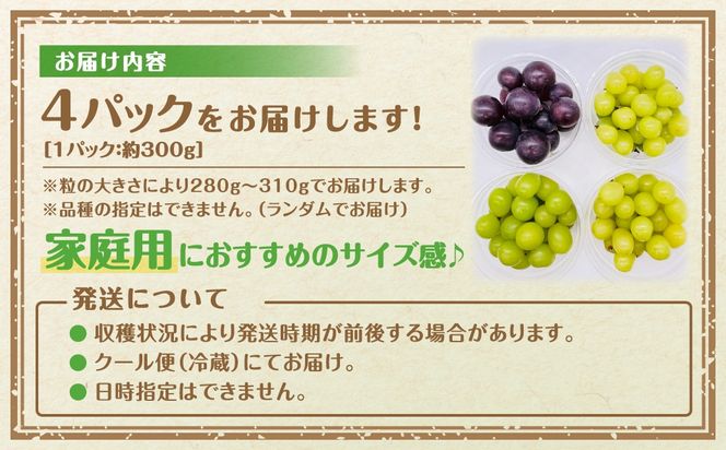 【先行予約】 ぶどう食べ比べパック 約300g×4パック (訳あり粒タイプ) 2026年10月上旬より順次発送 粒パック シャインマスカット バイオレットキング 巨峰 ピオーネ マイハート ゴルビー クイーンニーナ 家庭用 オススメ 福島県 田村市 ふくしま 鈴木農園 N046-008-R8
