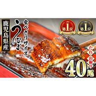 【1434330a】＜食べきりサイズ！＞東串良町のうなぎ蒲焼(無頭)(40尾・計4000g・タレ、山椒付) うなぎ 高級 ウナギ 鰻 国産 蒲焼 蒲焼き たれ 鹿児島 ふるさと 人気 【アクアおおすみ】