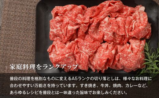 【定期便6ヶ月】【A5ランク限定】淡路島産黒毛和牛 切り落とし 500g【神戸牛】  切り落とし
