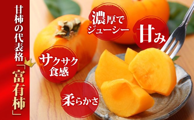 富有柿 12個 柿 かき 大玉 完熟 フルーツ くだもの 果物 秋 旬 味覚 追熟 甘い おやつ デザート 贈り物 ギフト 産地直送 にわか茶屋 送料無料 岐阜県 美濃市 ≪お届け時期：2026/11/1～2026/12/31≫