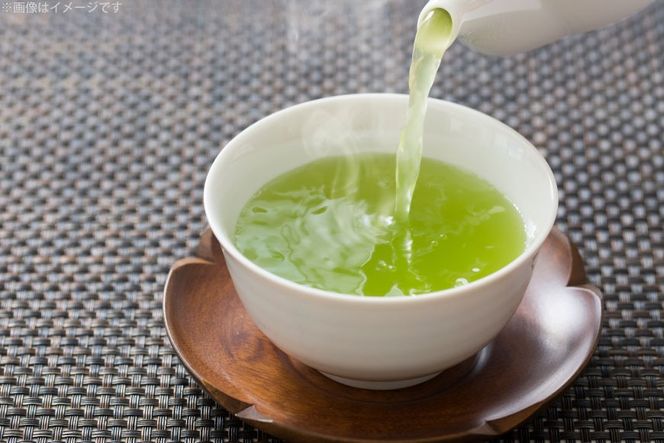 お茶 ティーバッグ 特撰 みやざき煎茶 3袋 セット [谷岩茶舗 宮崎県 日向市 452061642] ティーパック 茶 茶葉 緑茶 新茶 お茶の葉