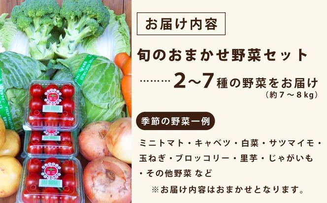 G3452 旬のおまかせ野菜 セット 2～7種類【産地直送 国産 やさい 新鮮 おまかせ 詰め合わせ 詰合せ】
