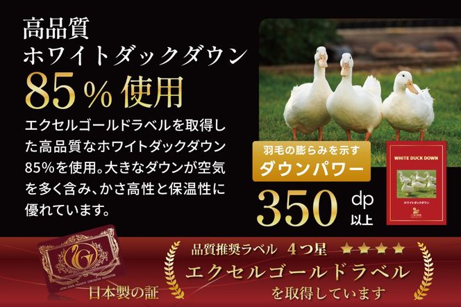 【春夏用】洗える 羽毛 布団 掛け布団 夏 春 肌掛け布団 シングル ホワイトダックダウン 85% 0.3kg 無地 アイボリー 羽毛布団 布団 ふとん 羽毛 肌掛け 掛け布団 寝具 夏用 日本製 国産 抗菌防臭 無地 送料無料 コインランドリー [川村羽毛 山梨県 韮崎市 20743635]