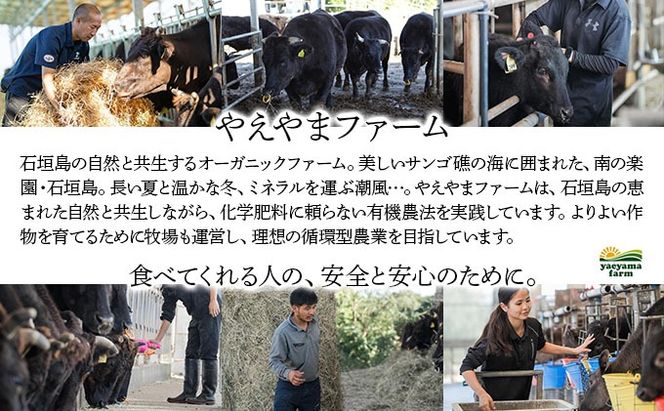 石垣島産経産黒毛和牛 1頭切り落とし 500g