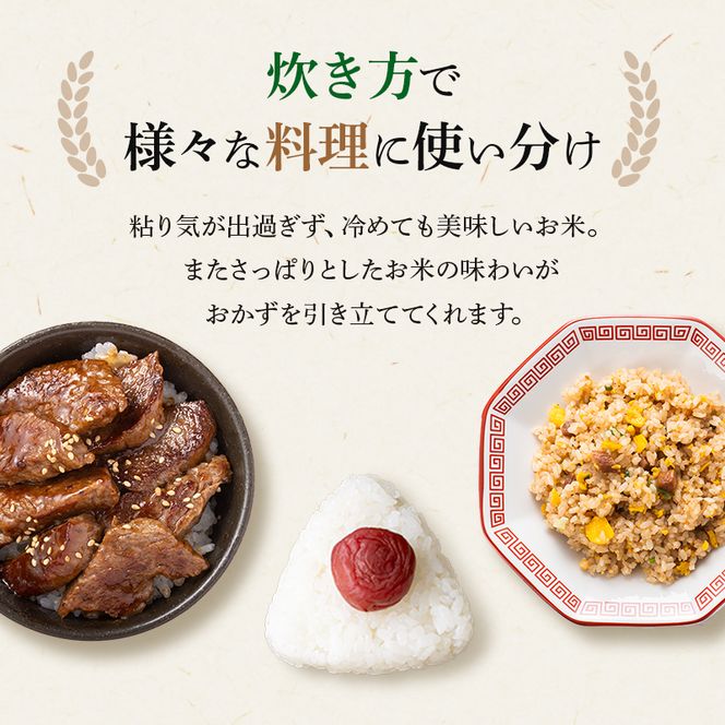 食べてみたいお米 Alatana 米 「三ツ星」 白米 10kg 精米 お米