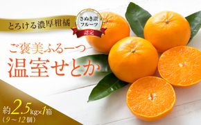 ≪香川・高松≫ご褒美ふるーつ「温室せとか」約2.5kg【2027年2月上旬からお届け】 372013_MD016