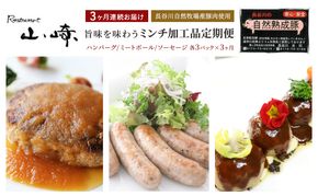 【3ヶ月連続お届け】【長谷川自然牧場産豚肉使用】【お家レストラン】旨味を味わうミンチ加工品定期便(ハンバーグ/ミートボール/ソーセージ各3パック×3ヶ月)