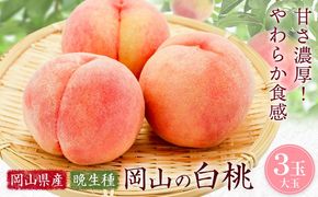 【2027年発送先行予約】岡山の白桃 晩生種 大玉3玉 約900g 晴れの国おかやま館 (つむぐ株式会社) 《2027年7月下旬-8月下旬頃出荷》岡山県 笠岡市 フルーツ 果物 果実 桃 白桃 もも モモ【配送不可地域：離島】---H-100---