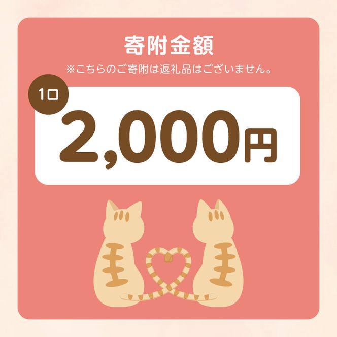 人と猫が互いに幸せになれるまちを目指して『不妊去勢手術支援プロジェクト』（返礼品はありません） N0159-9999996