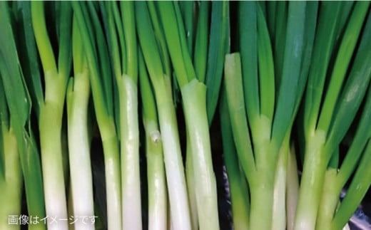 【全12回定期便】こだわり 野菜 （7品前後） セット ＋ 果物 《糸島》【 オーガニックナガミツファーム】	[AGE013]