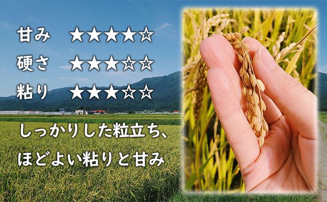 【令和8年度】北海道 富良野産 ななつぼし 減農薬 5kg 米 (山本農園) お米 ご飯 ごはん 白米 定期 送料無料 北海道 富良野市 道産 直送 ふらの