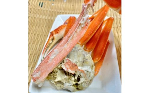 【11月順次発送】【訳あり】浜茹で 本ズワイガニ 足欠「雄ガニ 3杯（約900g）」1043007 蟹 かに ずわい蟹 ズワイガニ