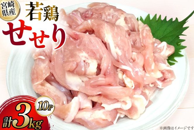 鶏肉 宮崎県産 若鶏 せせり 300g 10p 計3kg セット [TRINITY 宮崎県 日向市 452061342] 小肉 小分け 鶏 宮崎 冷凍 真空包装