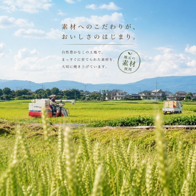 洋菓子 あまおう スコーン 8個入り コンフィチュールセット いちご スイーツ 菓子 お菓子