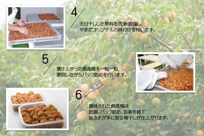 YD1010_紀州南高梅しそプレミアム塩分約6％（850ｇ）