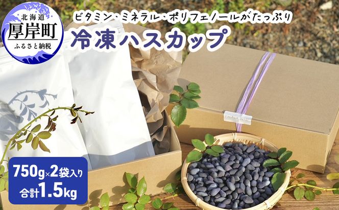 厚岸ハスカ 冷凍ハスカップ 2袋（750g×2 計1.5kg） アントシアニン スーパーフード 果実 ビタミン ミネラル 抗酸化作用 ポリフェノール 北海道産 