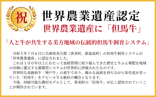 【但馬牛肉プレミアム定期便（計5回）】※月に1回お届け 配送日指定不可 黒毛和牛 ルーツ 香美町 産地直送 セット 国産 牛肉 ステーキ しゃぶしゃぶ すき焼き バーベキュー キャンプ 焼肉 和牛 ふるさと納税 おすすめ 返礼品 但馬 神戸 兵庫県 香美町 村岡 牛将 村岡ファームガーデン 260000円 02-30