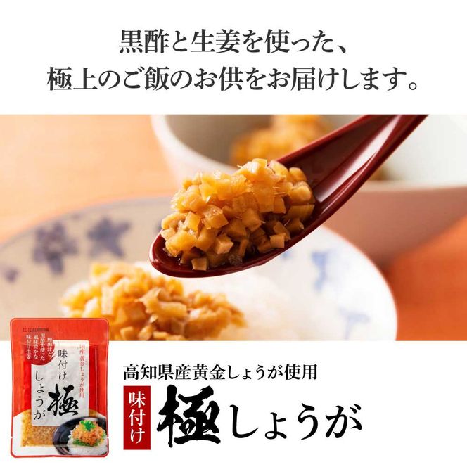 【CF-R7hbk】味付け極しょうが110g×1袋 - しょうが ショウガ 生姜 生ふりかけ 坂田信夫商店 黄金しょうが 高知 国産 料理 おかず 調味料 ご飯のお供 混ぜご飯 刻み生姜 話題