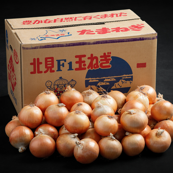 【数量限定訳あり品】玉ねぎＳサイズ・10kg（2025年12月上旬から順次発送）  BHRG147