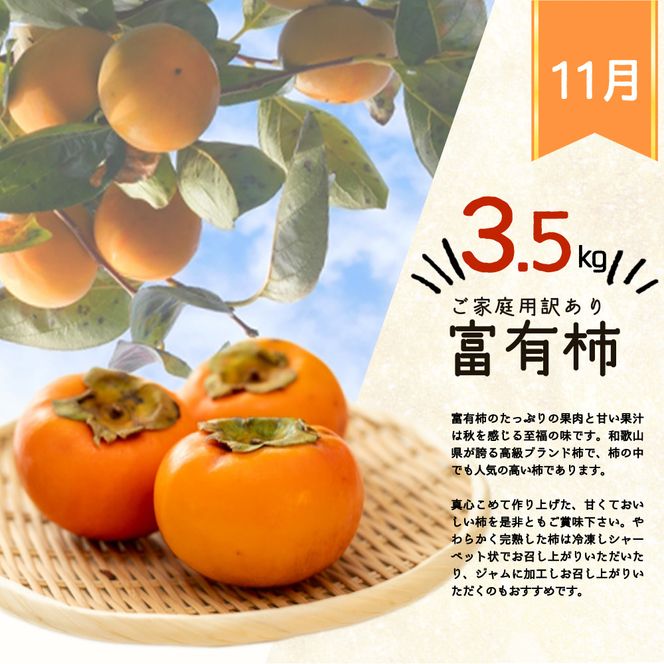 〈定期便〉【10・11・12月 全3回】和歌山産 みかんと柿のお楽しみ 定期便 【ご家庭用】【魚鶴】◇