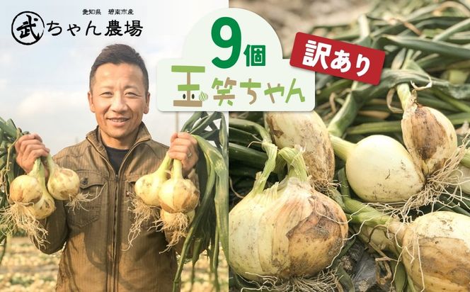 【食品ロス削減】（訳あり）笑顔で笑顔を作る武ちゃん農場の新玉ねぎ“玉笑ちゃん” 9個　H095-030