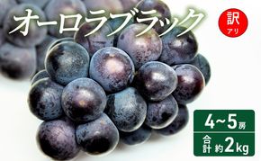 【2026年 先行予約】【訳あり品】オーロラブラック 4～5房 合計約2kg 常温配送 ぶどう 葡萄 フルーツ 果物 岡山 岡山のぶどう 食後 デザート 産地直送 大粒 爽やか 食べやすい 