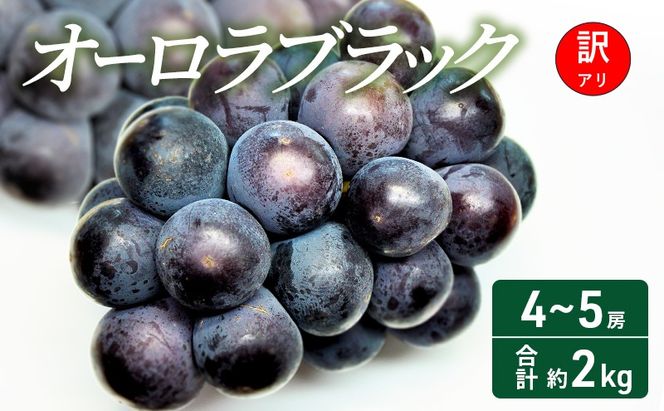 【2026年 先行予約】【訳あり品】オーロラブラック 4～5房 合計約2kg 常温配送 ぶどう 葡萄 フルーツ 果物 岡山 岡山のぶどう 食後 デザート 産地直送 大粒 爽やか 食べやすい 