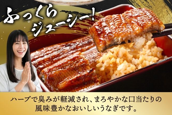 うなぎ 国産 ハーブ 鰻 3〜5尾 計500g 以上 [鰻楽 宮崎県 日向市 452061755] ふるさと納税 3尾 4尾 5尾 ウナギ 蒲焼 ハーブうなぎ 冷凍うなぎ ウナギ 化粧箱 鰻楽 宮崎県産 炭火焼き 九州 たれ タレ 山椒 タレ付き 小分け ◇