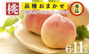 【2026年8月発送】品種おまかせ（白鳳、あかつき、なつっこなど）秀品 約3kg 6～11玉 桃 もも 果物 信州 長野